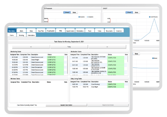 IbisNexus dashboard